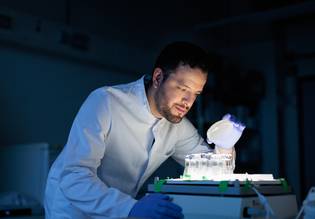 Ein Forscher schaut konzentriert in eine Petrischale.