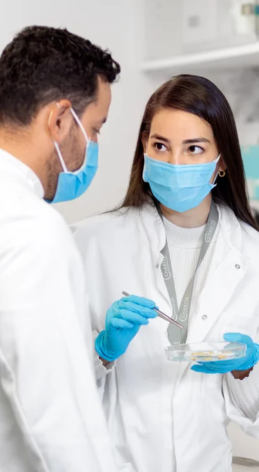 Zwei Forschende stehen in einem Labor und besprechen sich.